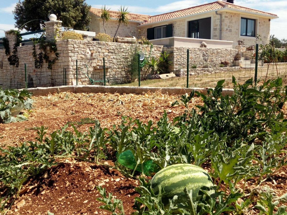 Villa Little Hill Postira Dış mekan fotoğraf